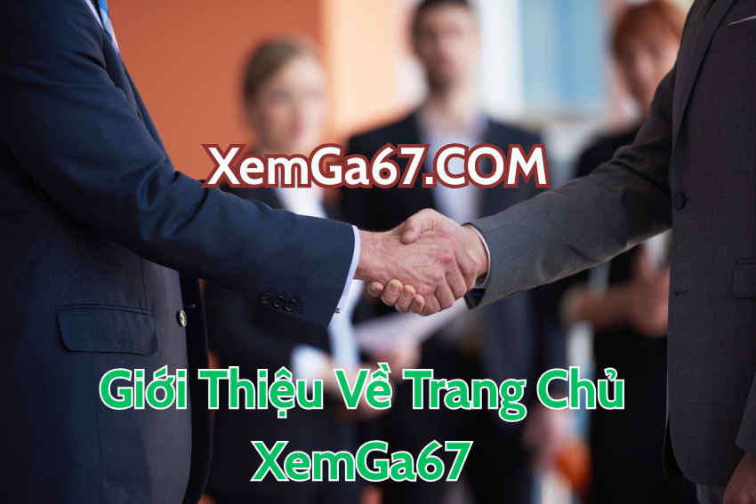 Giới Thiệu Về Trang Chủ XemGa67