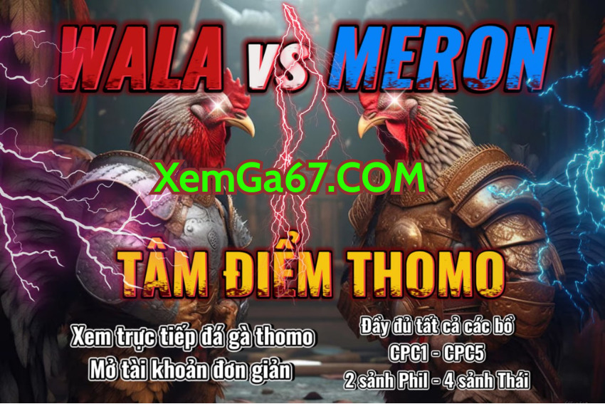 Các Sãnh Gà Có Sẵn Tại XemGa67